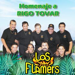 Cover of Homenaje a Rigo Tovar