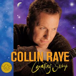 Cover of Counting Sheep
