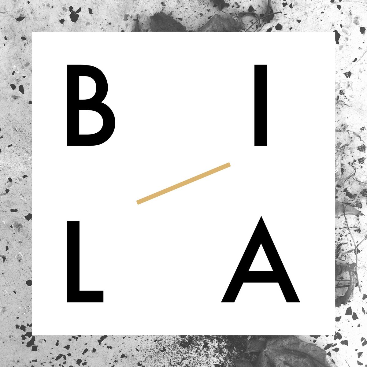 Album cover of Bali