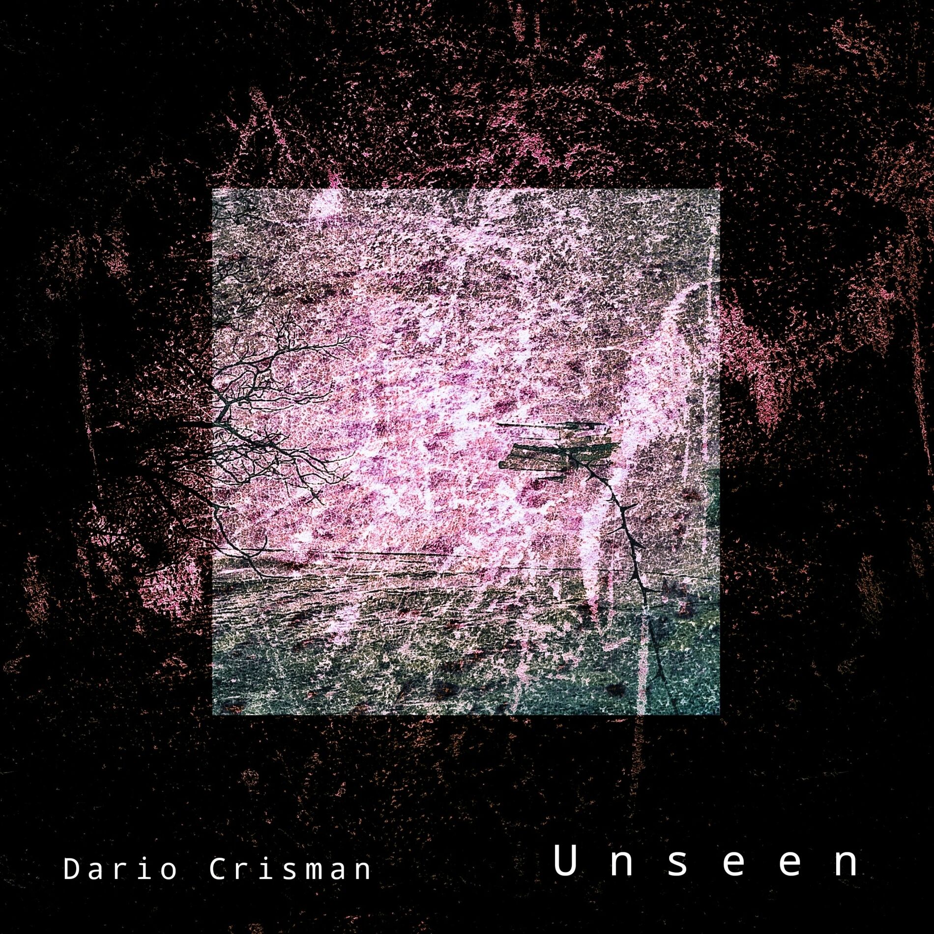 Album cover of Unseen