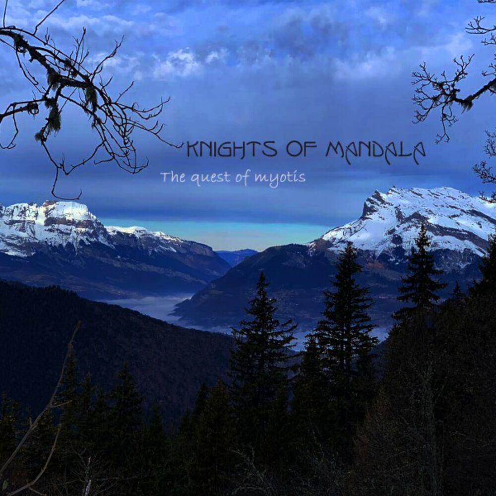 Picture of The Quest of Myotis