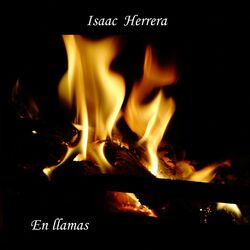 Cover of En llamas