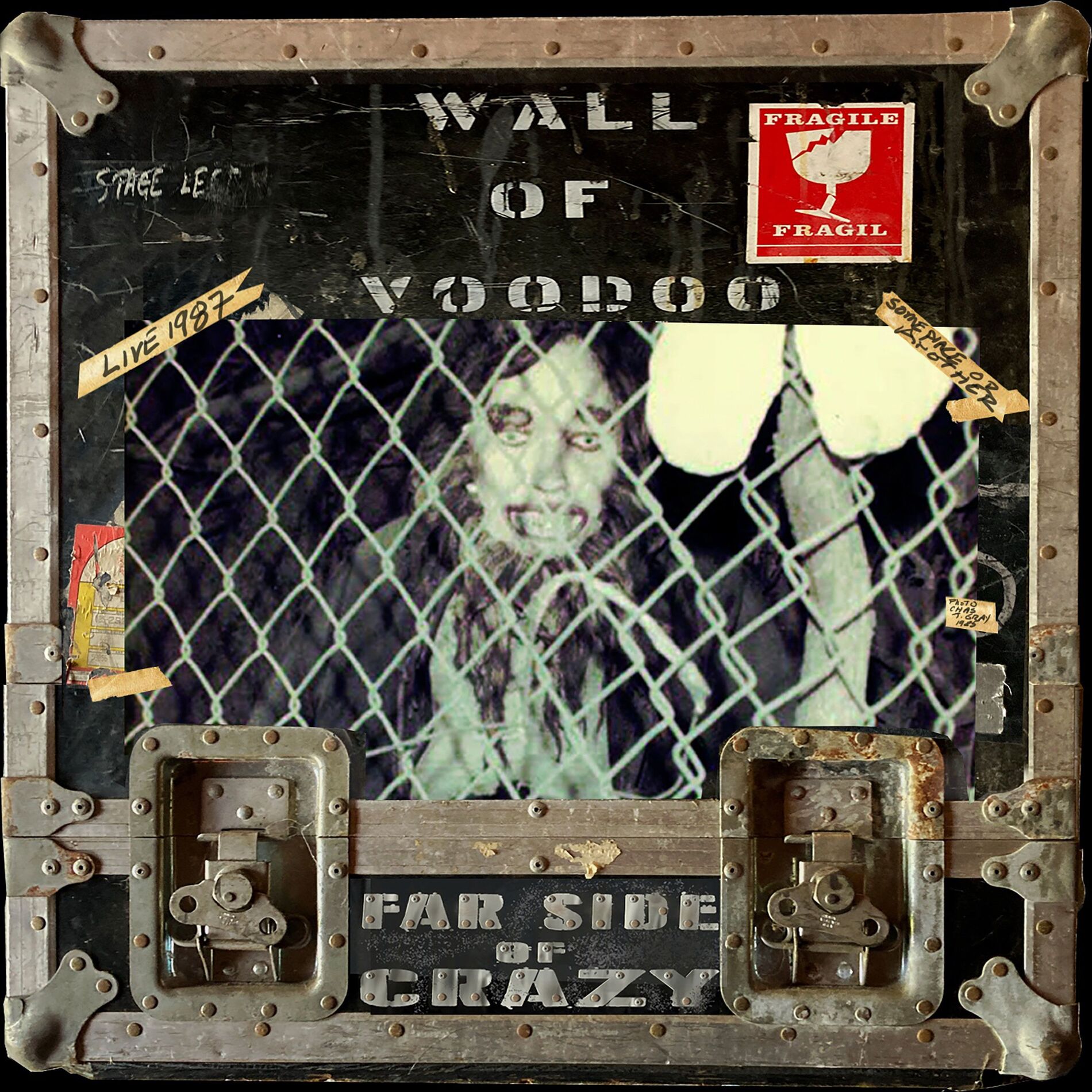Album cover of Far Side of Crazy