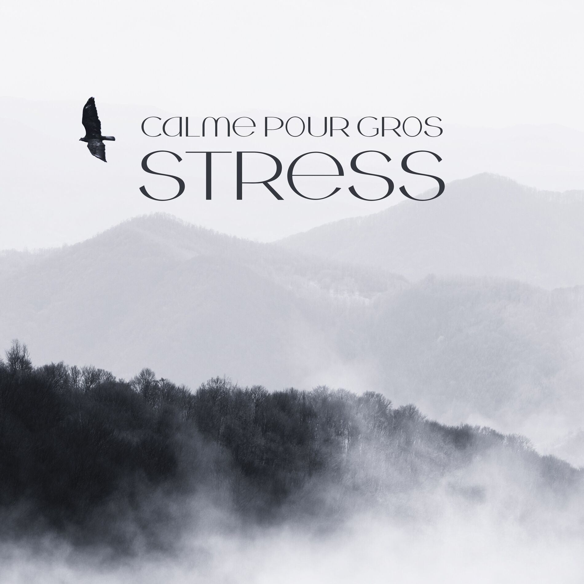 Album cover of Calme pour gros stress: Thérapie relaxante contre le stress avec les sons de la nature et la méditation