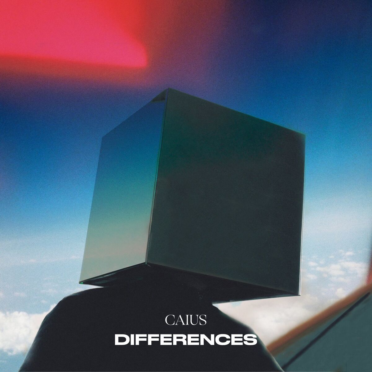 Album cover of Differences