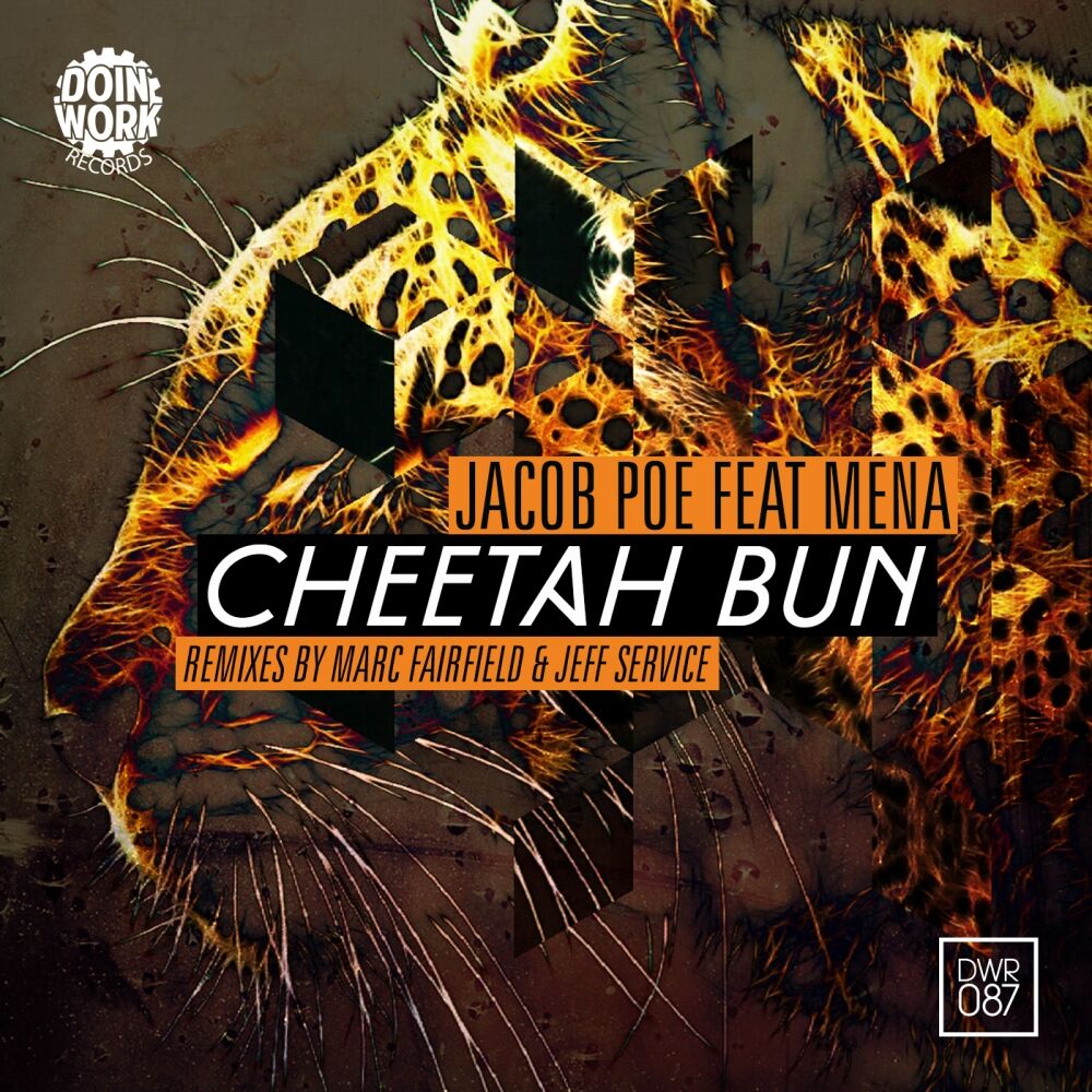 Picture of Cheetah Bun