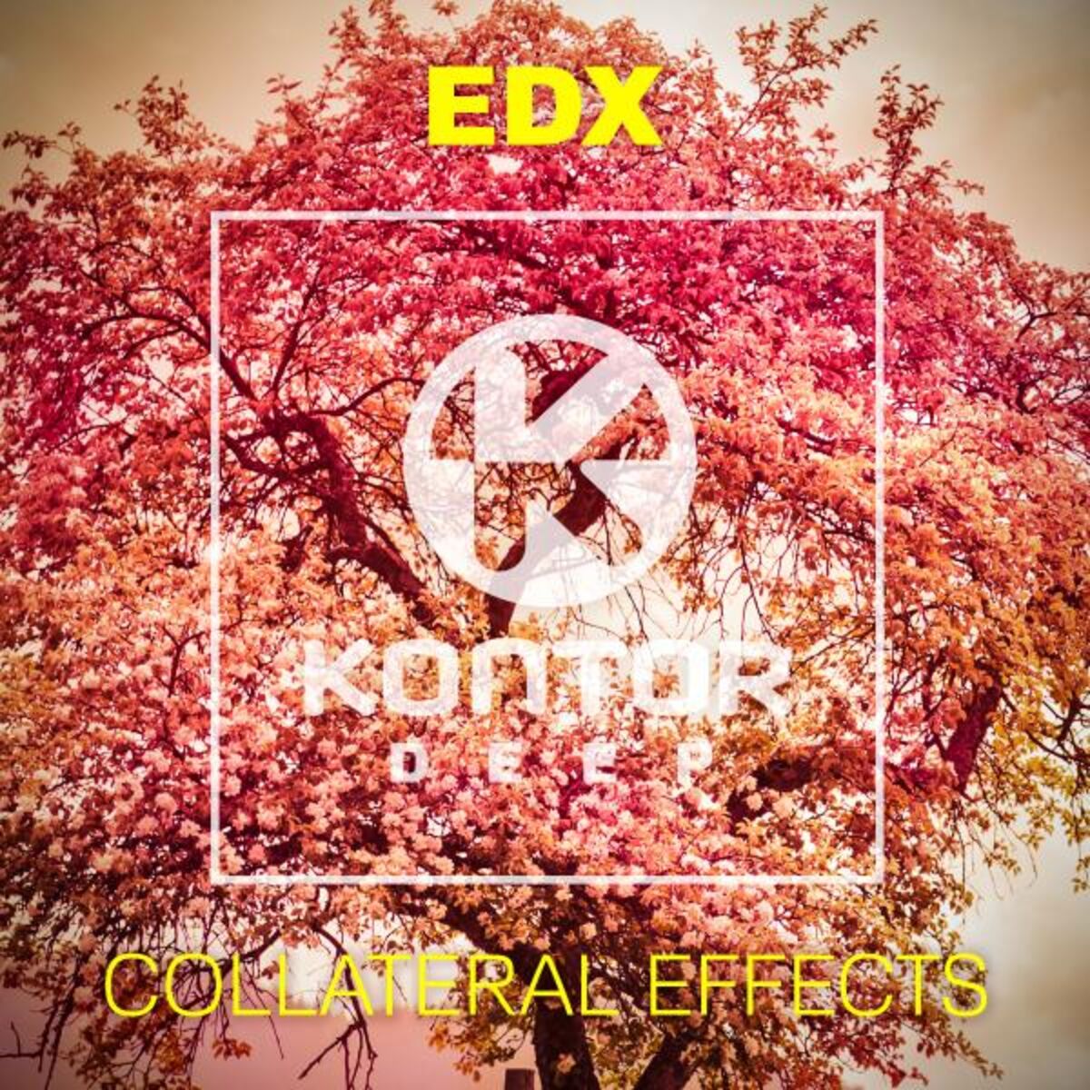 Album cover of Collateral Effects