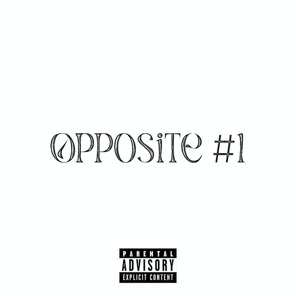 Picture of Opposite 1