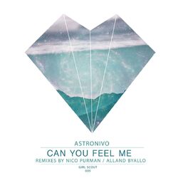 Cover of Can You Feel Me