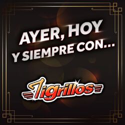 Cover of Ayer, Hoy Y Siempre Con... Tigrillos