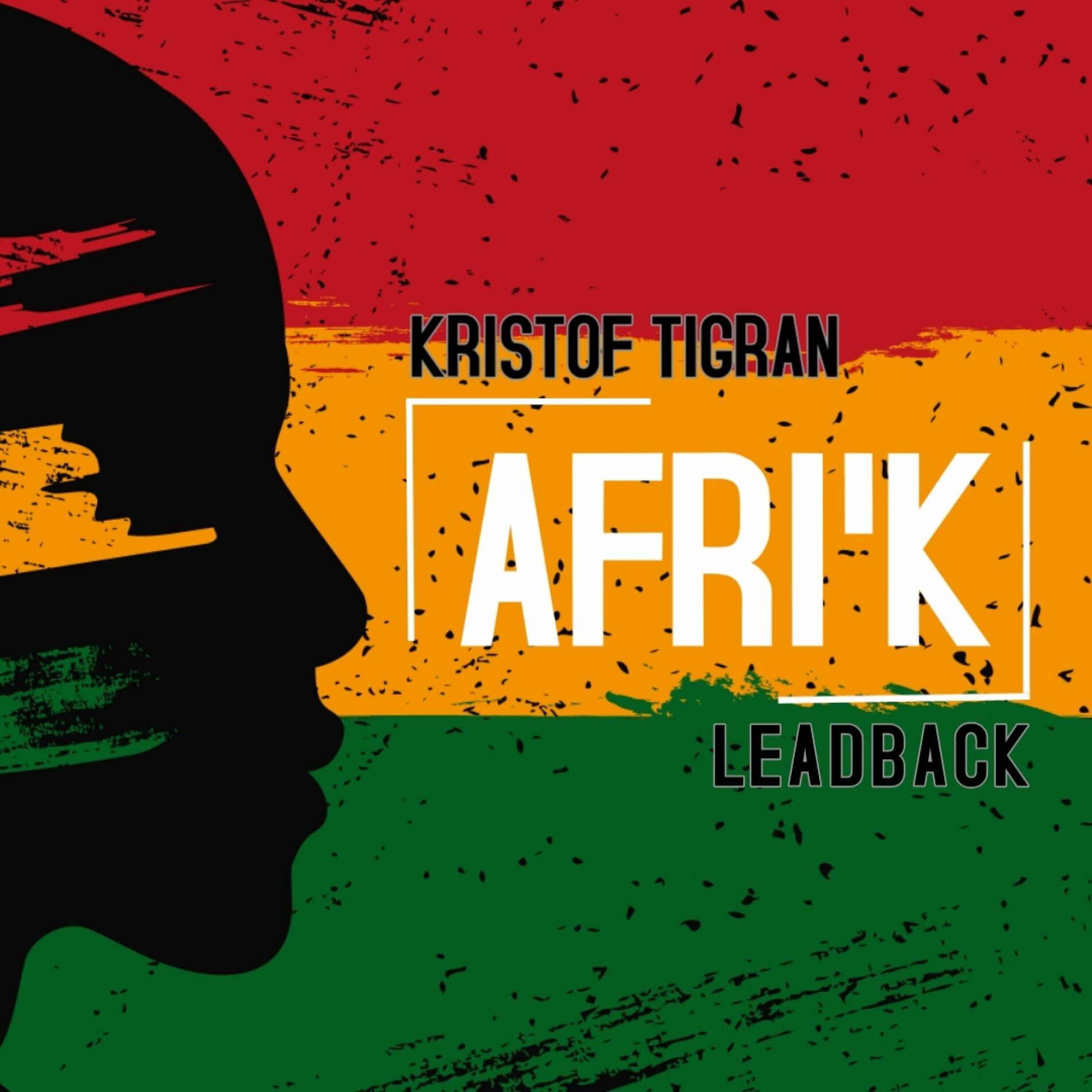 Album cover of Afri'k (Radio Edit)