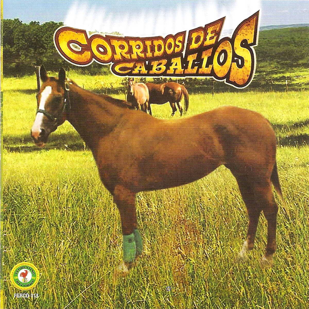 Album cover of Corridos De Caballos