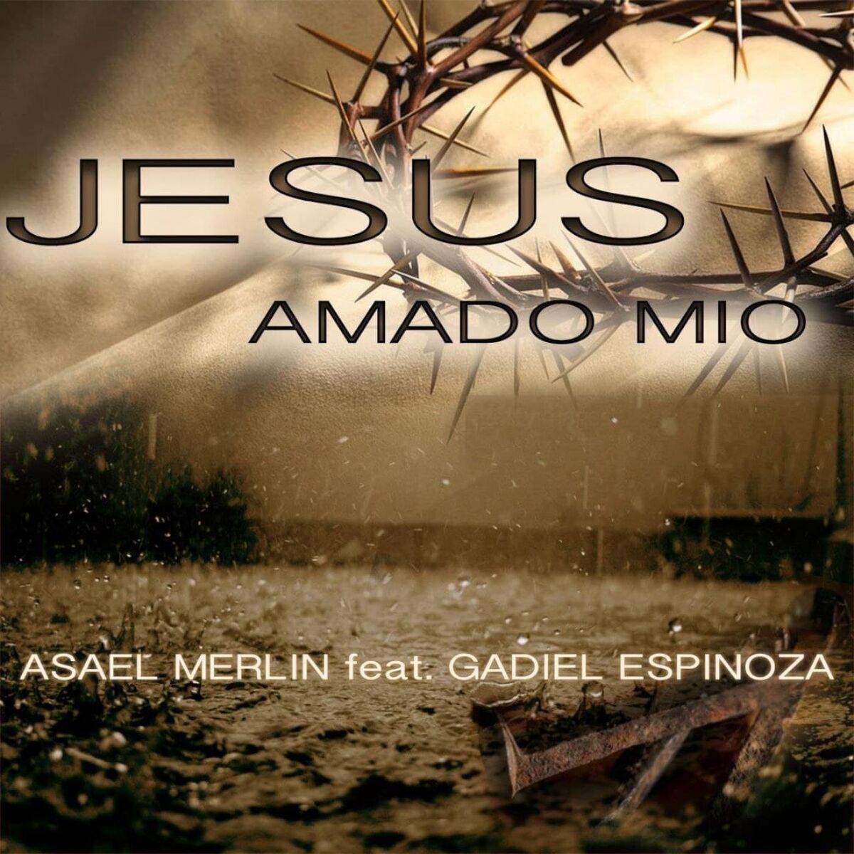 Album cover of Jesús Amado Mío