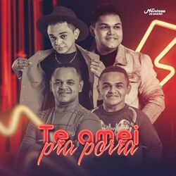 Cover of Te Amei pra Porra