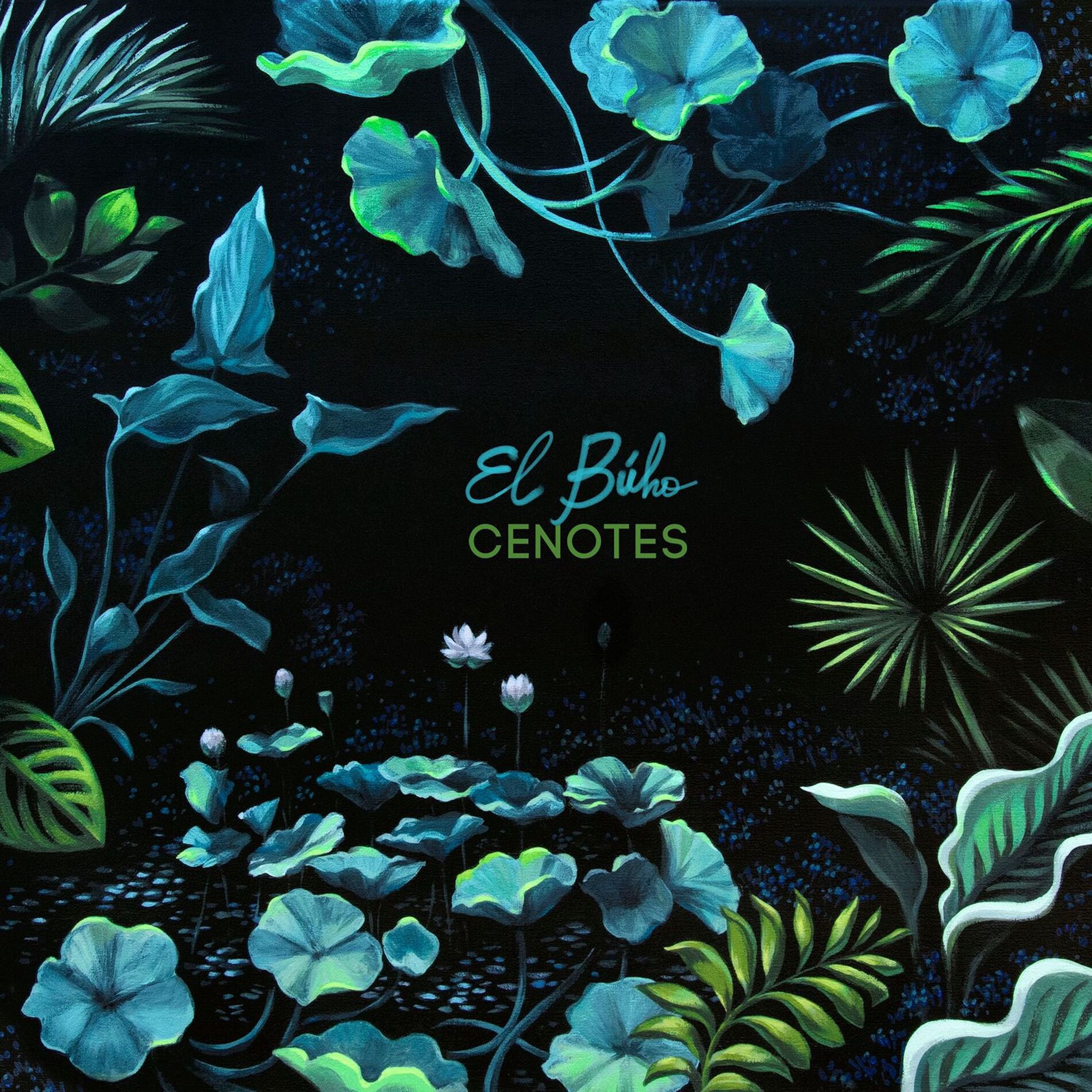Album cover of Cenotes (Deluxe Edition)