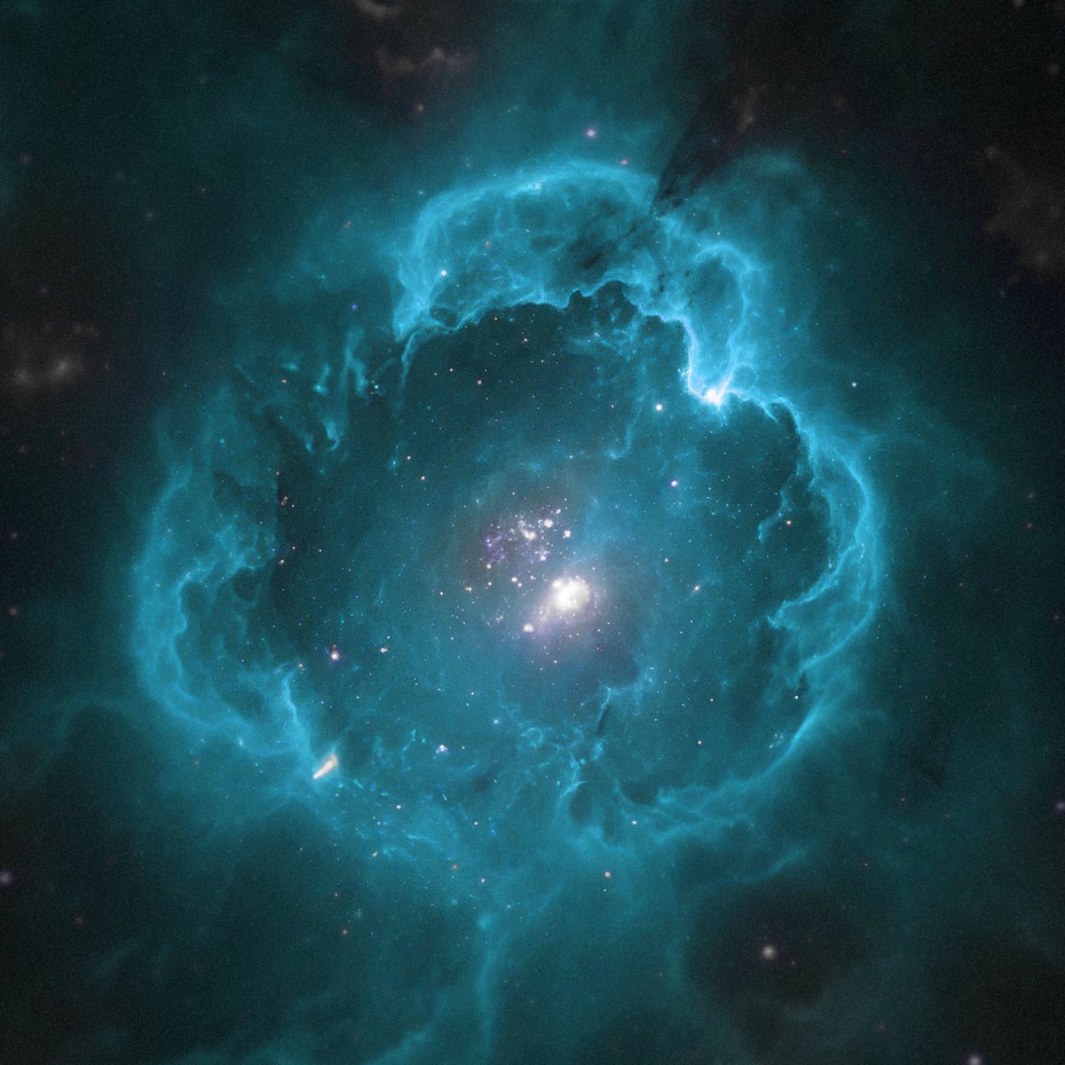 Album cover of alma