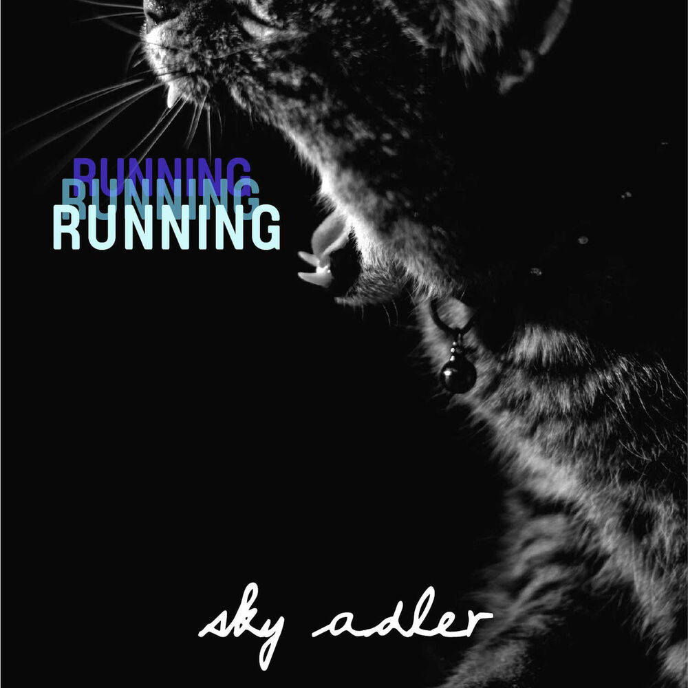 Picture of Running