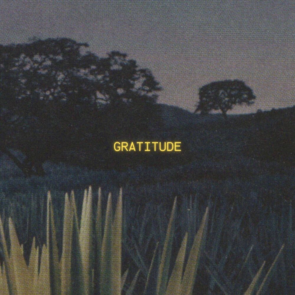 Picture of Gratitude