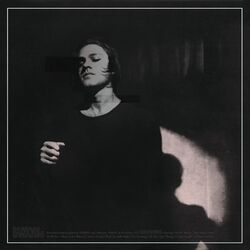 Cover of Swarm (2023 Mix)