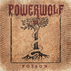 Pochette album