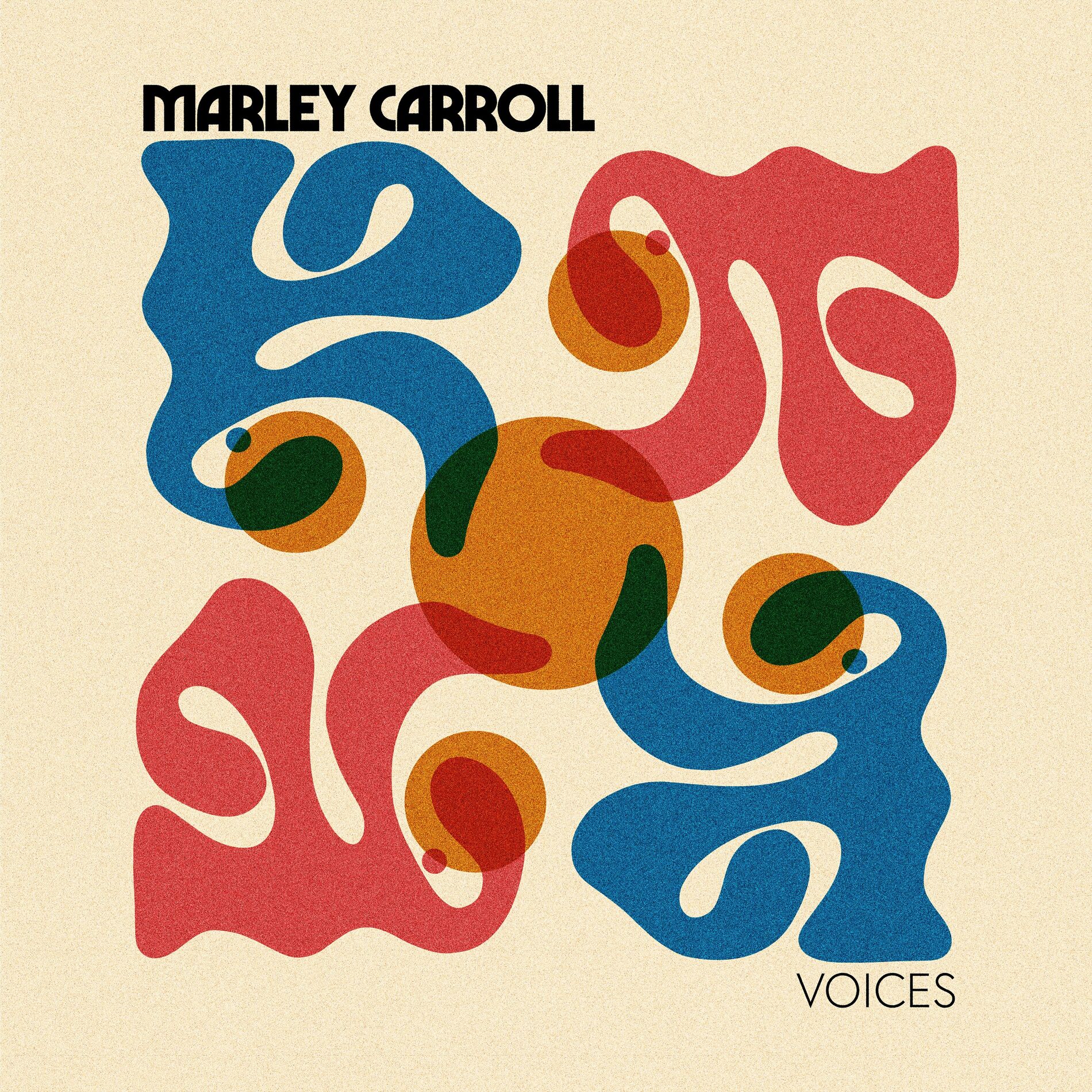 Album cover of Voices