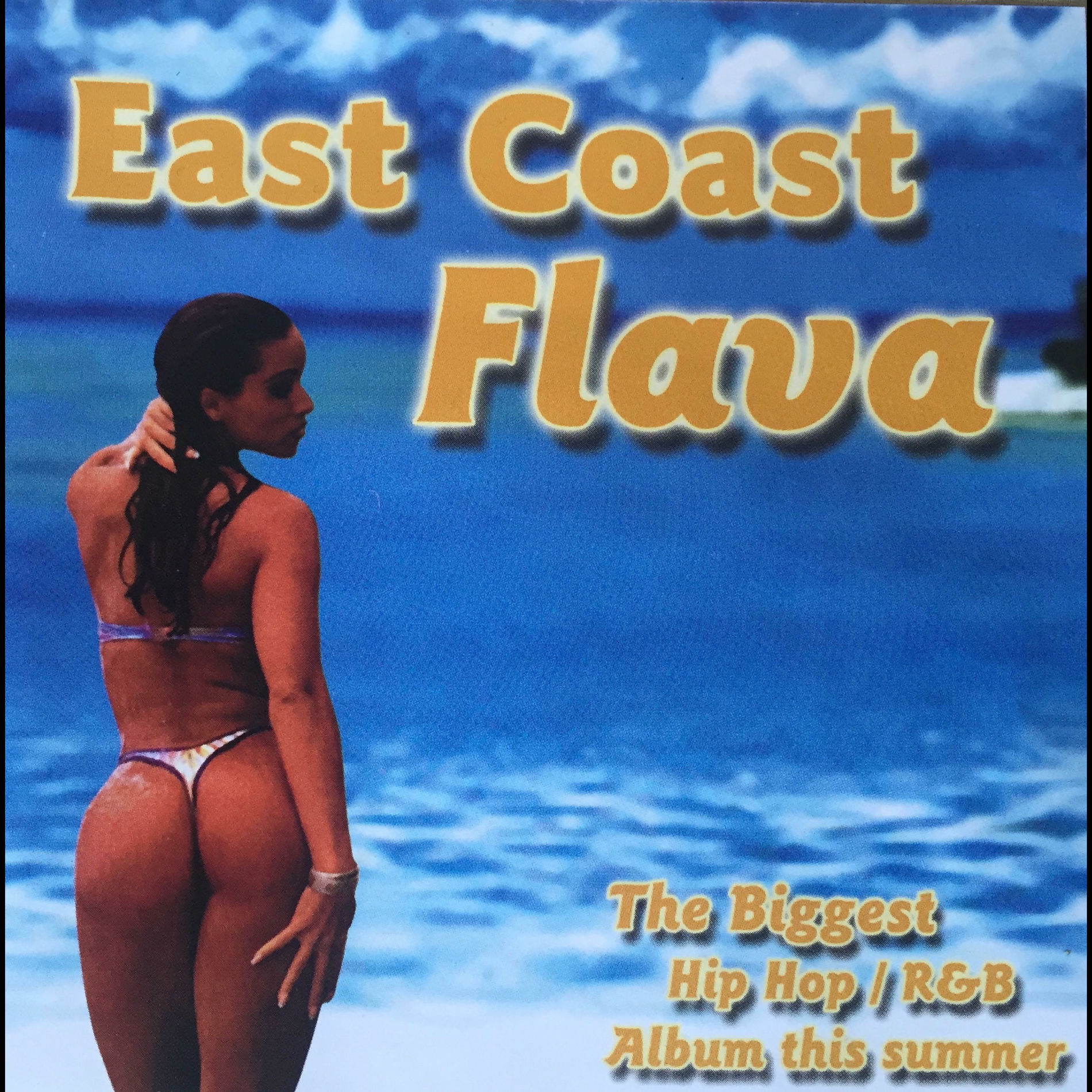 Album cover of East Coast Flava