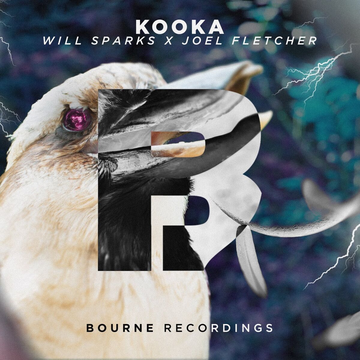 Album cover of Kooka