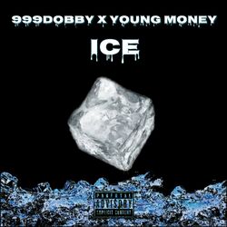 Cover of ICE