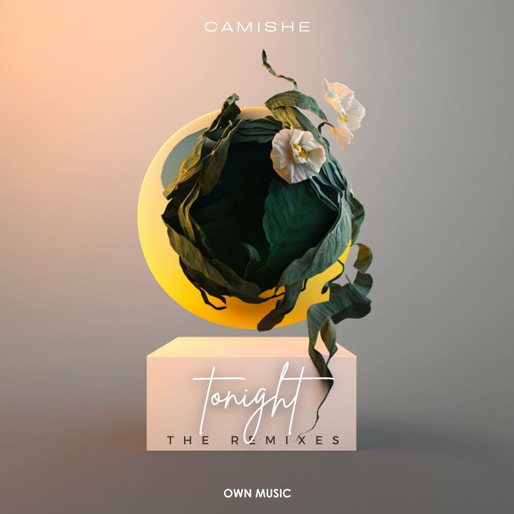 Picture of Tonight (The Remixes)
