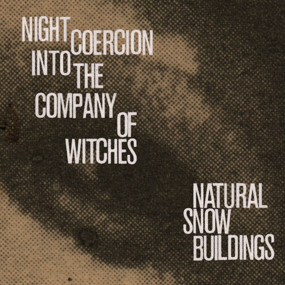 Picture of Night Coercion into the Company of Witches