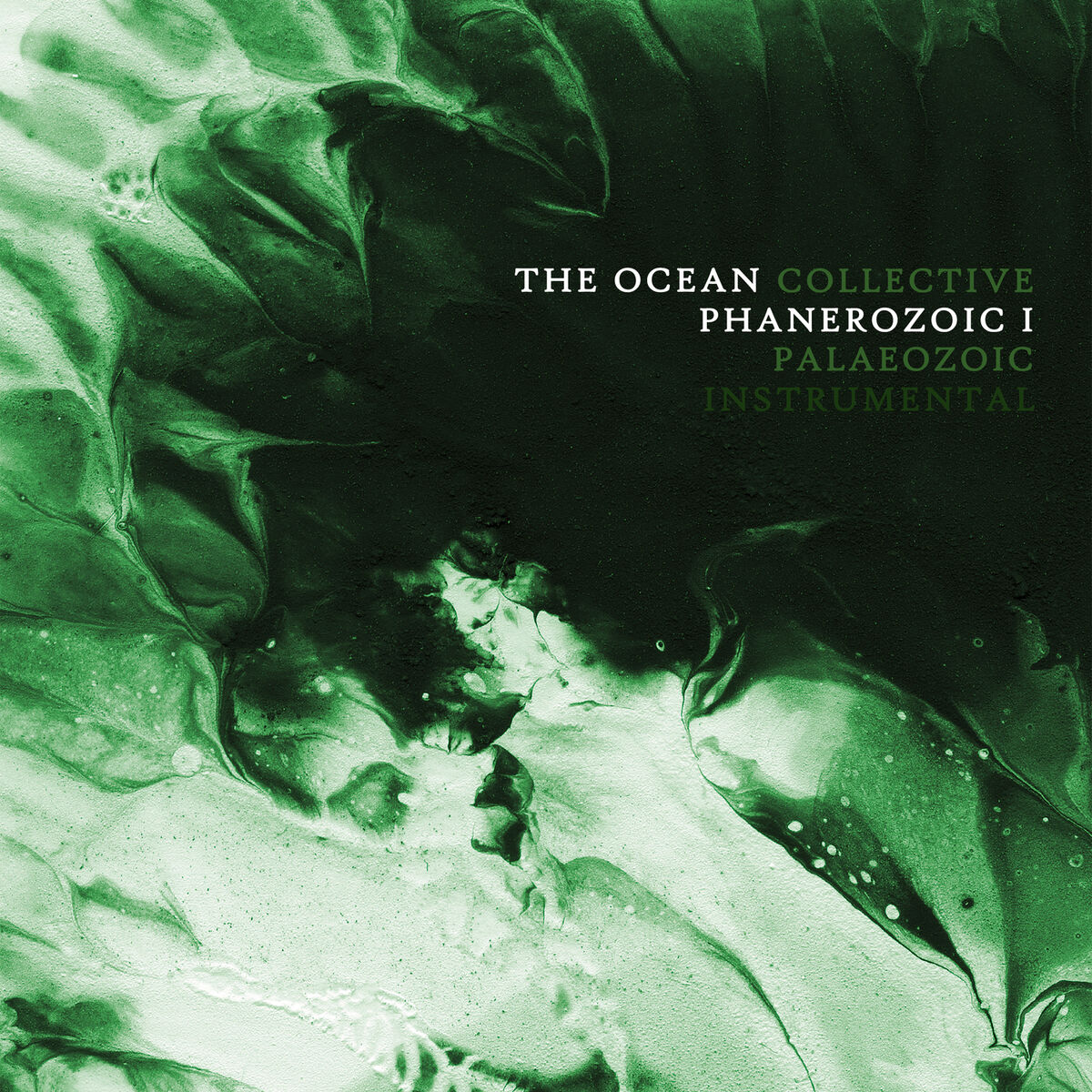 Album cover of Phanerozoic I: Palaeozoic (Instrumental Version)