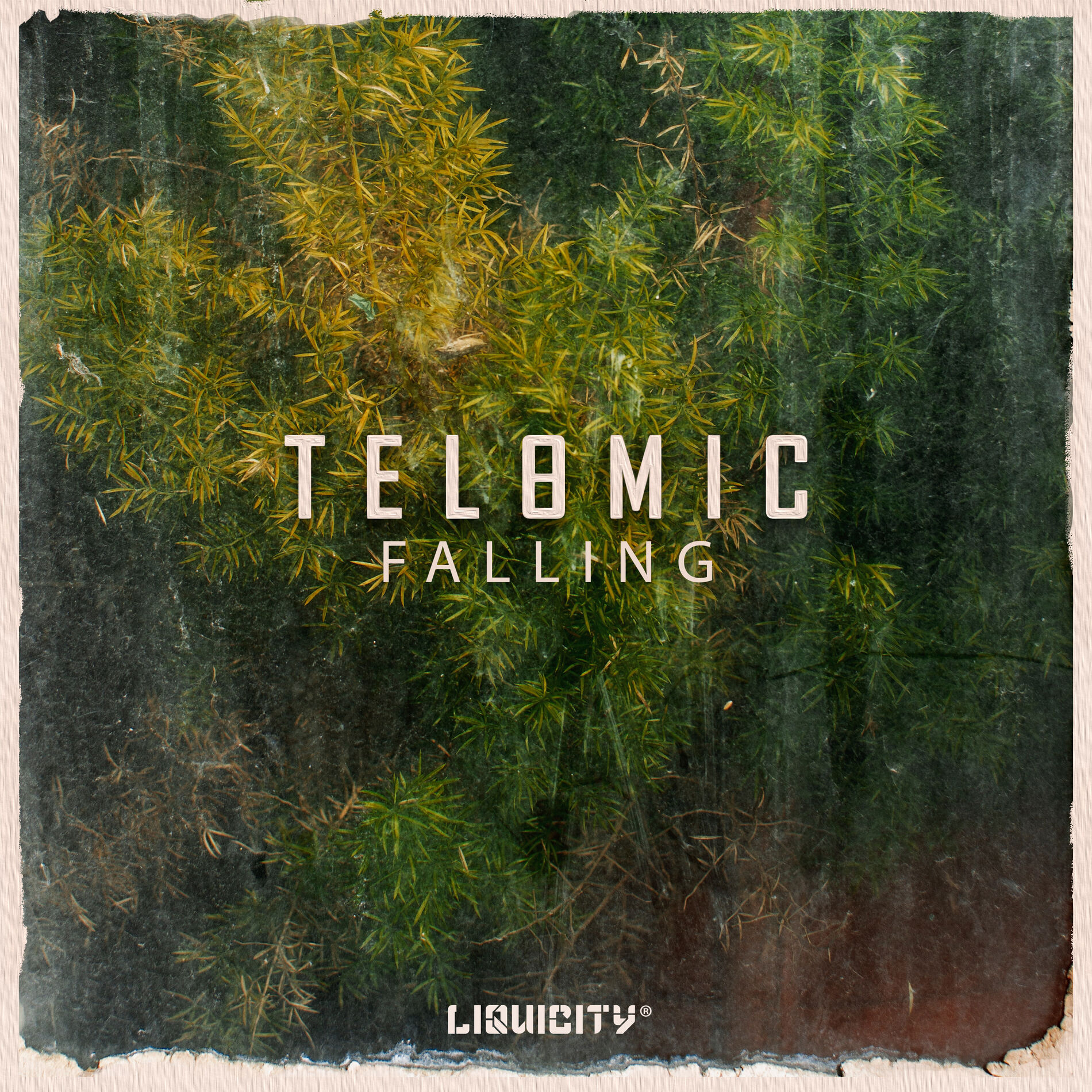 Album cover of Falling