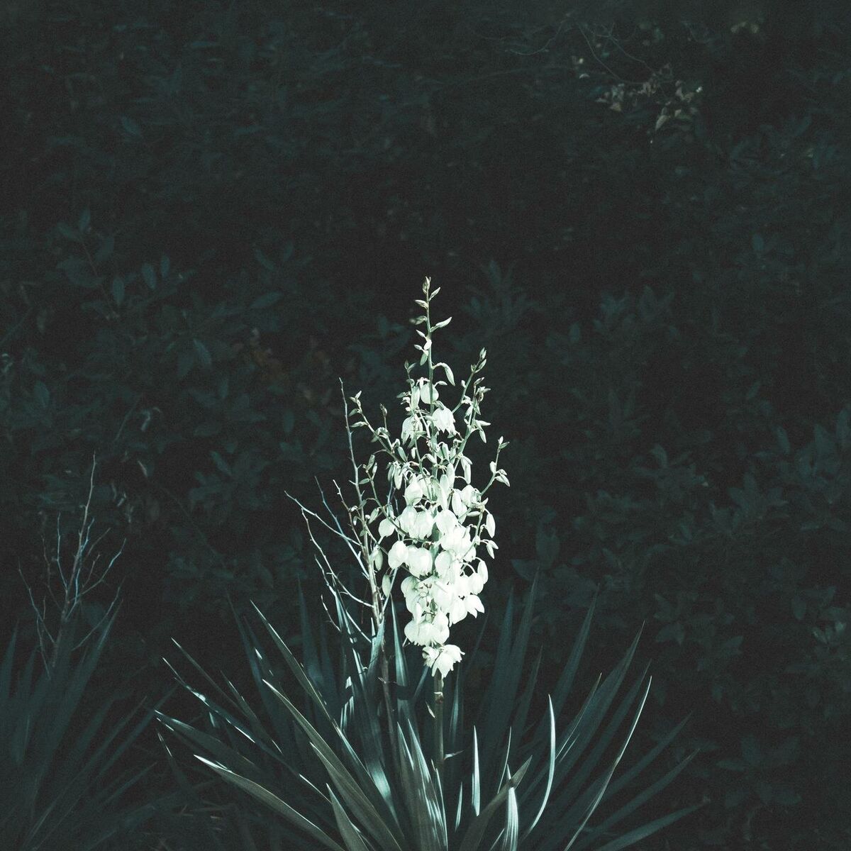 Album cover of Respiro 3