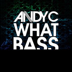 Cover of What Bass