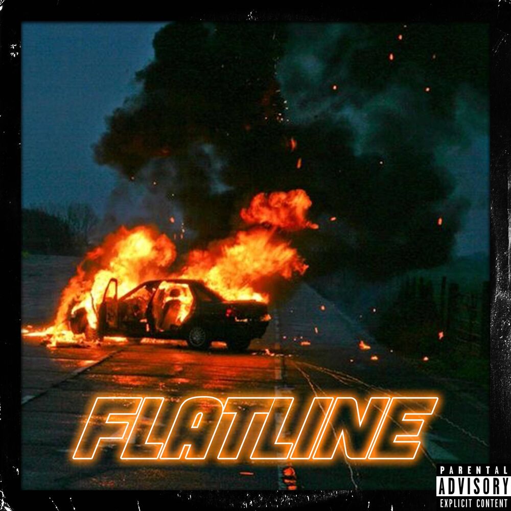 Picture of FLATLINE