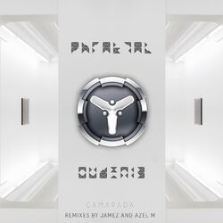 Cover of Camarada