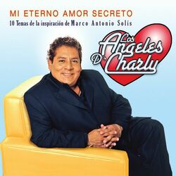 Cover of Mi Eterno Amor Secreto