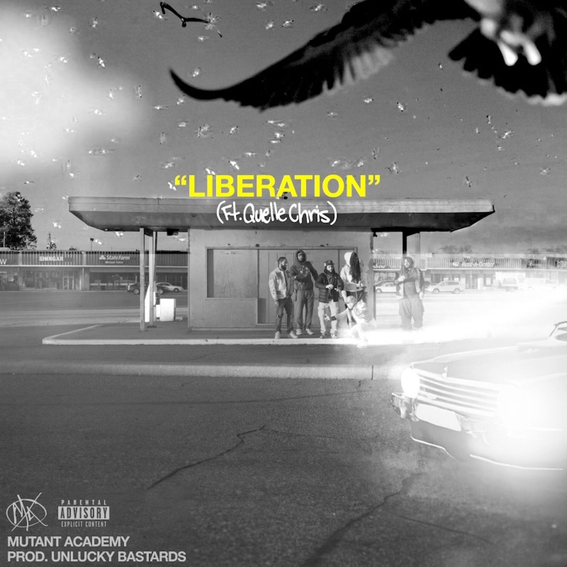 Album cover of Liberation