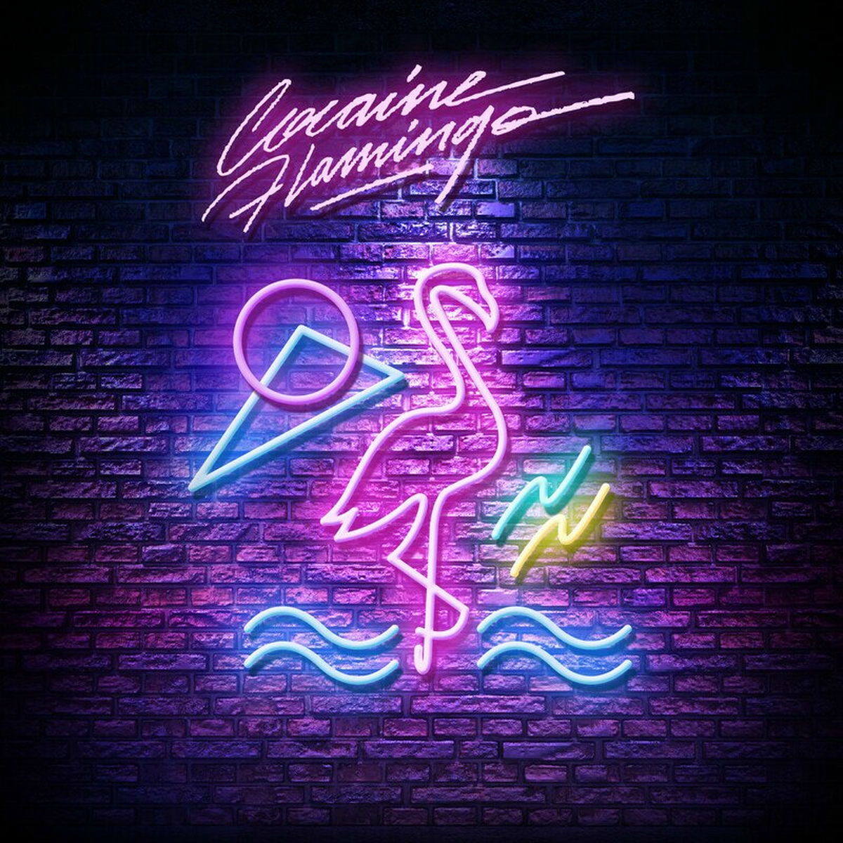 Album cover of Cocaine Flamingo