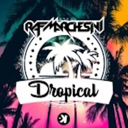 Cover of Dropical