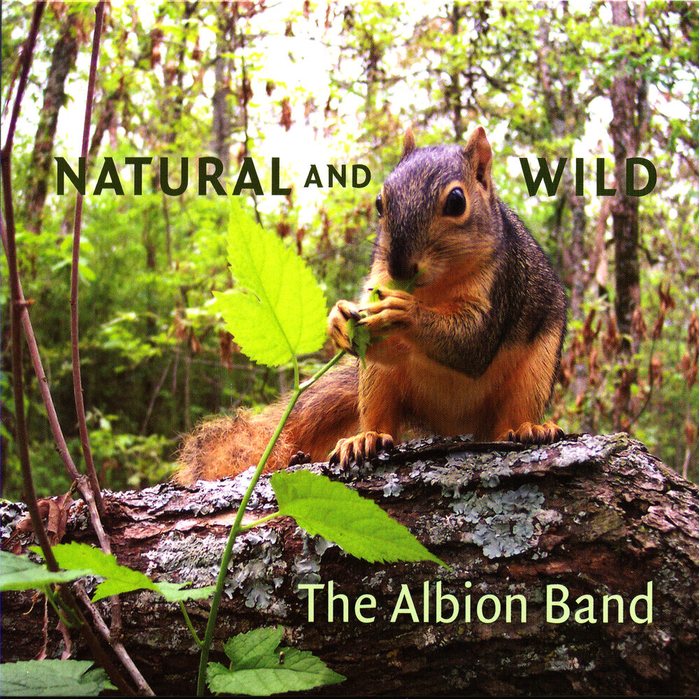 Picture of Natural and Wild