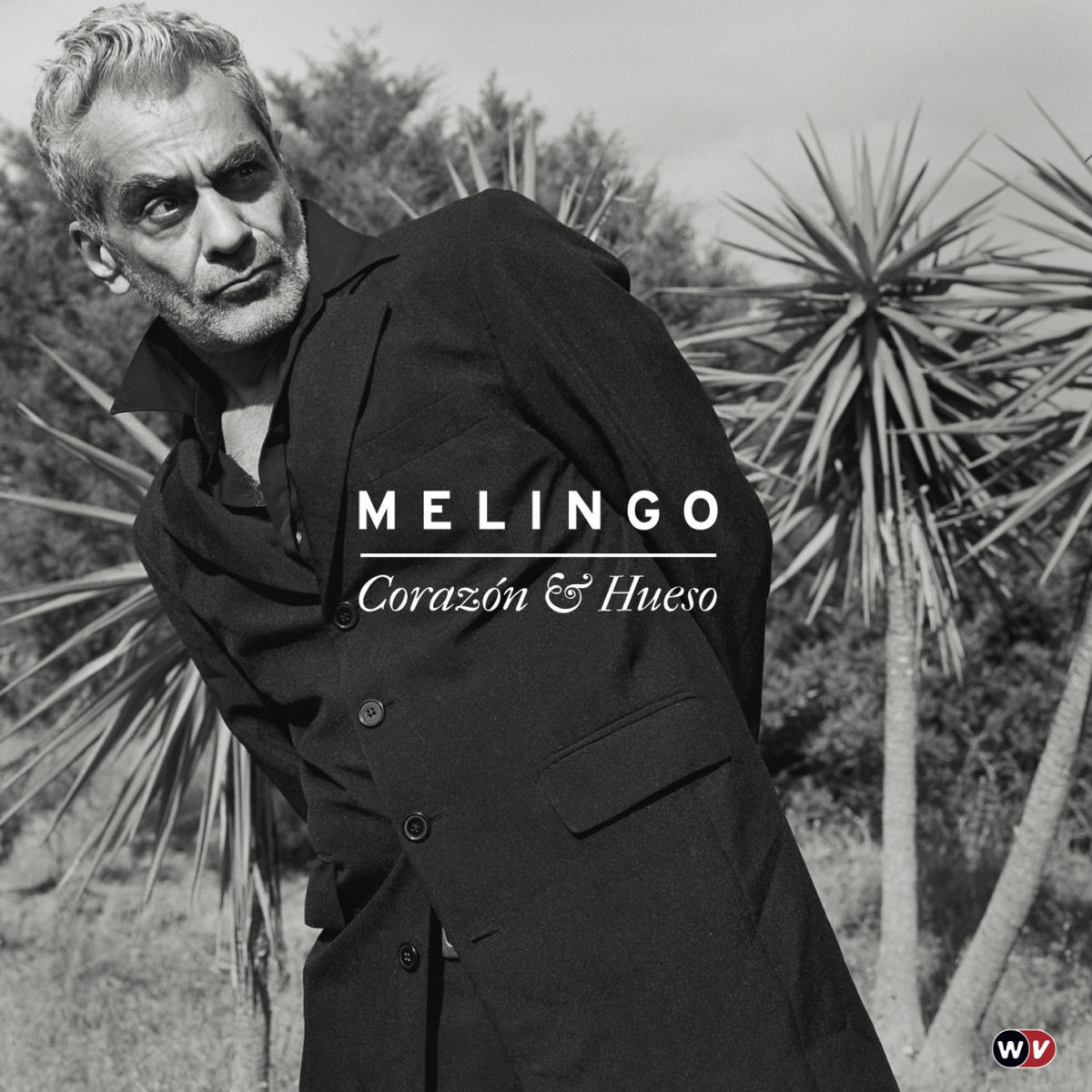 Album cover of Corazòn & Hueso