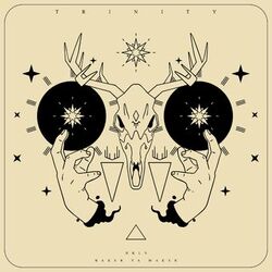 Cover of Trinity