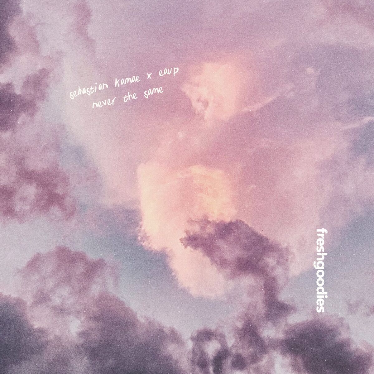 Album cover of Never The Same