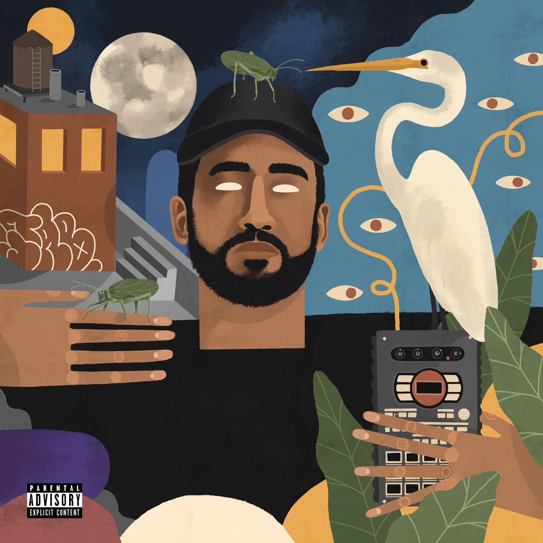 Album cover of the wildest of dreams