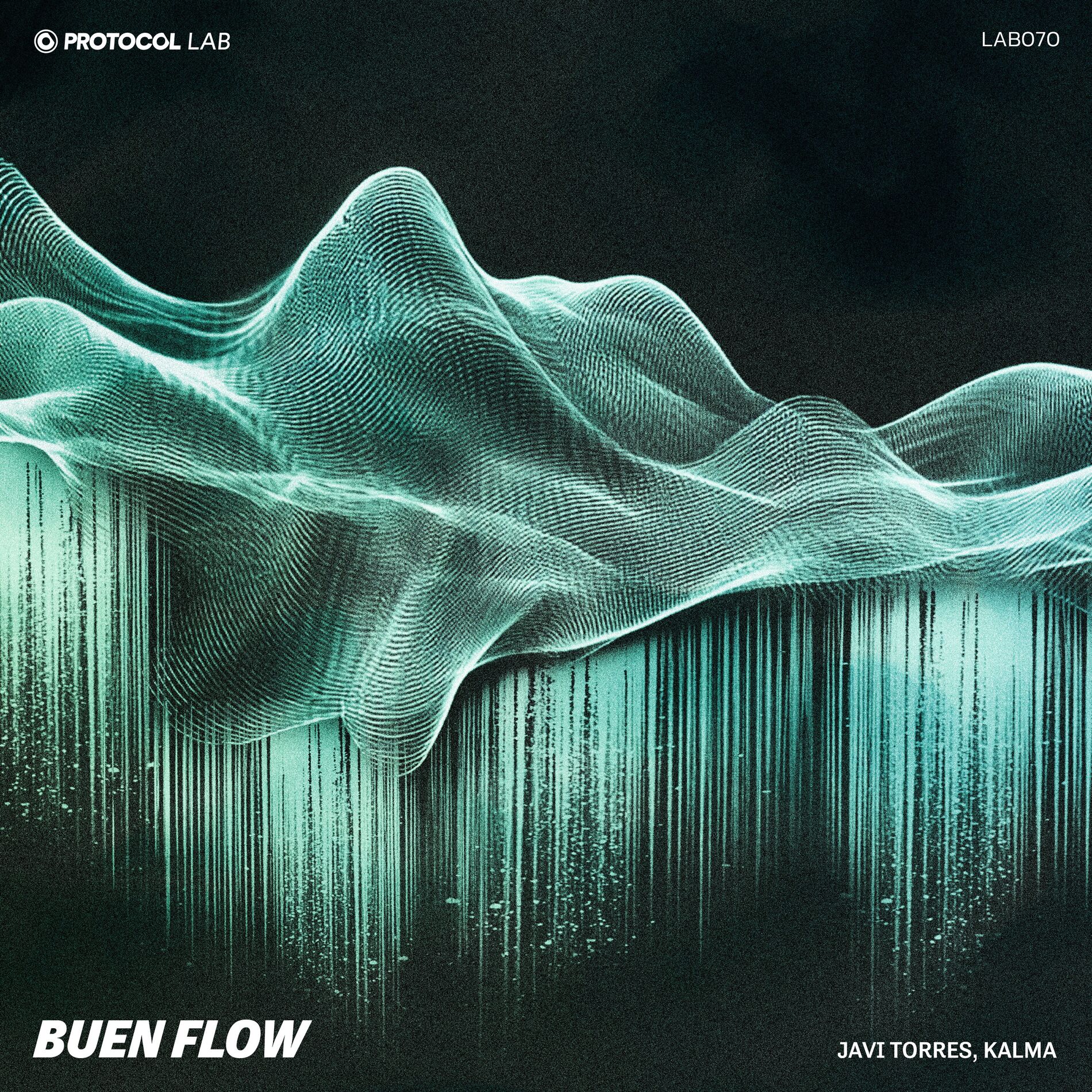 Album cover of Buen Flow