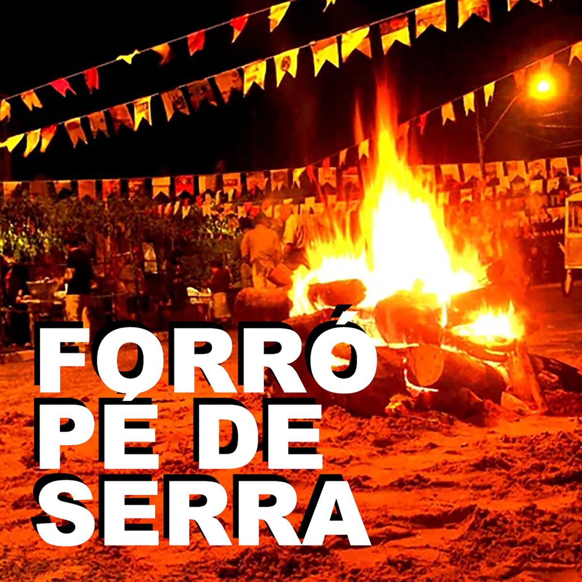 Album cover of Forró Pé de Serra