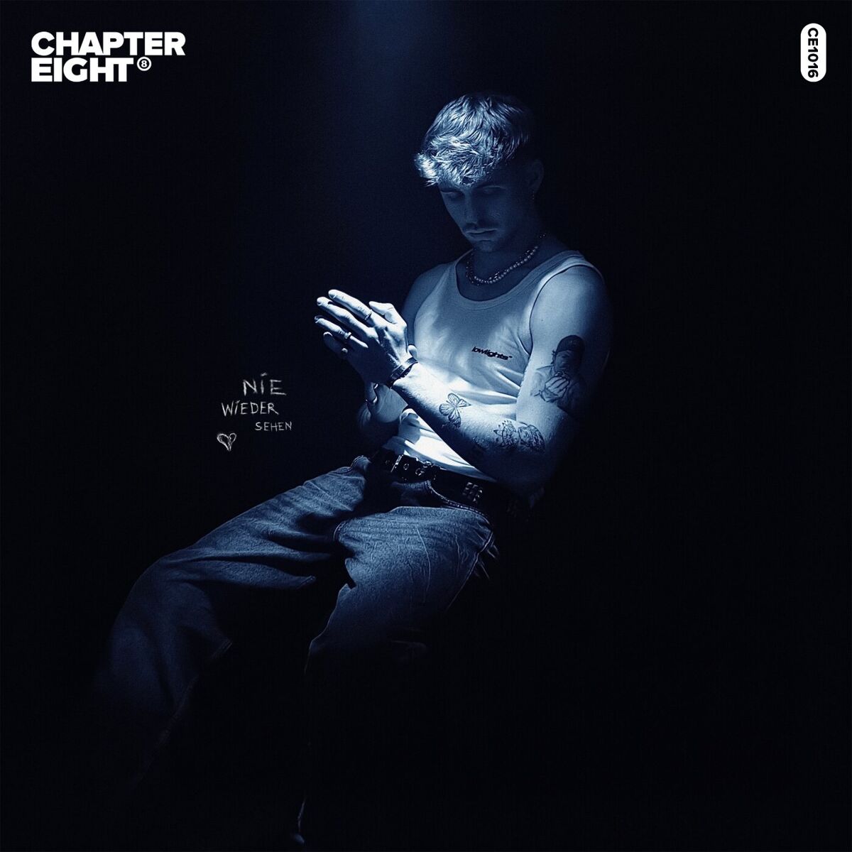 Album cover of Nie wieder sehen