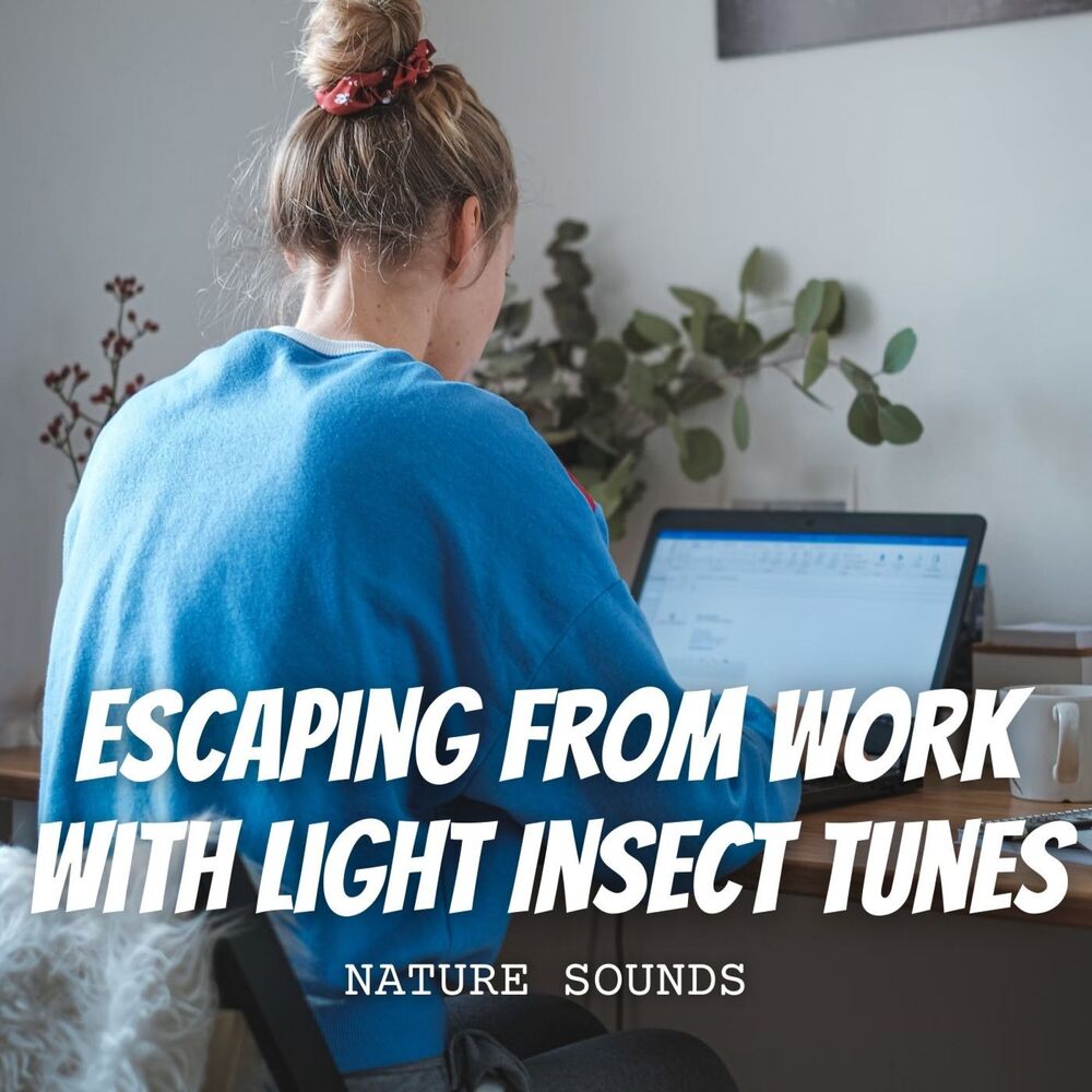 Picture of Nature Sounds: Escaping from Work with Light Insect Tunes