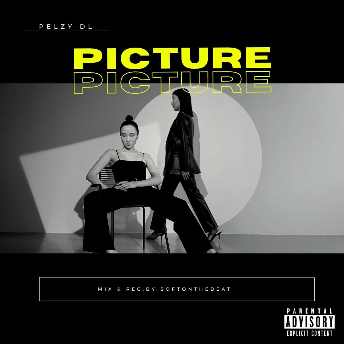 Album cover of Picture